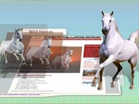 《全球首款3D浏览器》(Venus) V2.8.30简体中文版